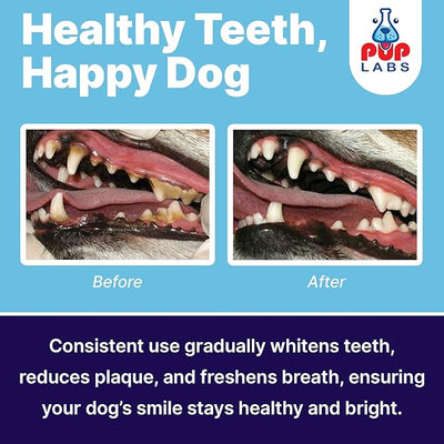 Pup Labs ProDenta, All-Natural Dog Dental Powder for Teeth Cleaning, Dental Powder for Dogs Teeth with Breath Freshener. Easy to use for Tartar Removal and Leaky Gums. Made in USA, 30 Servings