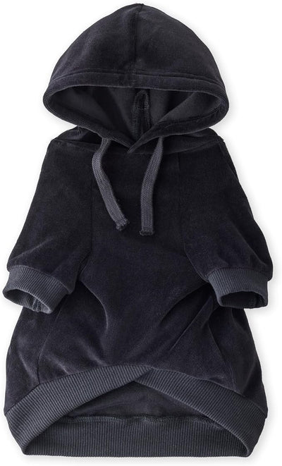 Pet Passion Cooper II Organic Cotton Velour Dog Hoodie Pet Coat for Small, Medium and Large Dogs, Black, XX-Small (4-7 lbs)