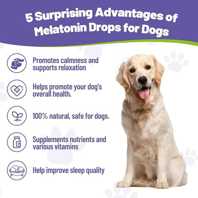 Melatonin for Dogs,Dog Sleep Aid,Calming for Dogs,Helps Restful Sleep, L-Theanine,Promotes Overall Well-Being,Multiple Vitamins,Suitable for All Dog,100% Natural