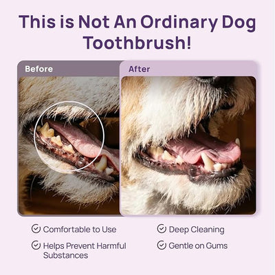 HICC PET Toothbrush for Cats & Small Dogs, Vet-Recommended Ergonomic Pet Toothbrush for Easy Teeth Cleaning, Gentle on Gums, Cat & Dog Dental Care, Improves Oral Hygiene. Toothpaste Not Included