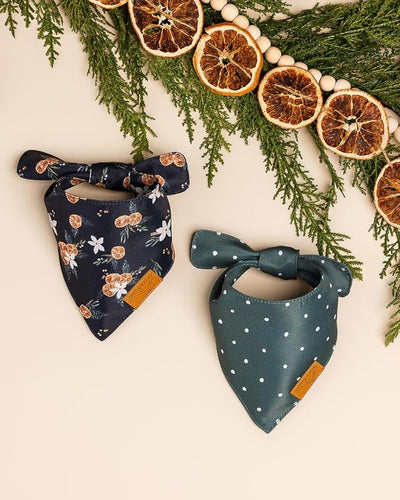 Remy+Roo Dog Bandanas - 2 Pack | Evergreen Christmas Dog Bandanas Set | Premium Durable Fabric | Patented Shape Bandanas for Dogs (Clementine, Small)