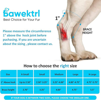 Dog Leg Braces for Rear Legs, Hock Brace for Back Legs with Metal Strips and Safety Reflective Straps for Short Legs, Joint Warps Support for Hind Legs Injuries Sprains Arthritis (Large(1Pair)