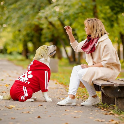 Soft & Warm Dog Outfit - Pullover Hoodie & Sweatshirt for Small, Medium & Large Dogs (Red, XX-Small)