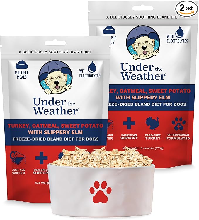 Bland Diet for Dogs | Easy to Digest Stomach Support for Sick Dogs | Contains Electrolytes, All Natural | 2 Pack - Turkey, Oatmeal, Sweet Potato & Slippery Elm - 6oz