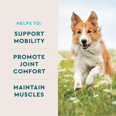 VetIQ Maximum Strength Hip & Joint Supplement for Dogs 90 Soft Chews with Glucosamine MSM and Krill Oil Chicken Flavored Joint Support for Large and Small Breed Senior Dogs