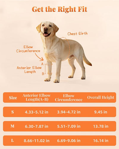 Petanims Dog Front Leg Brace - Knee/Carpal/Wrist Support for Dogs, Adjustable Dog Elbow Brace with Shoulder Support, Reflective Dog Elbow Protector for Pain Relief & Better Recovery, Medium