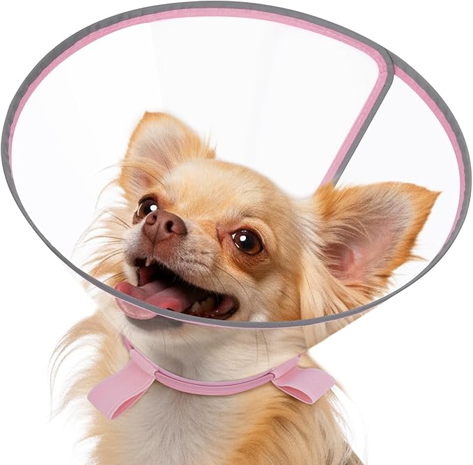 Clear Dog Cone for Small Dogs After Surgery, Adjustable E-Collar to Stop Licking with Padded Neck for Chihuahua,etc, Soft Recovery Collar with Reflective Trim for Night Visibility, Pink XXS