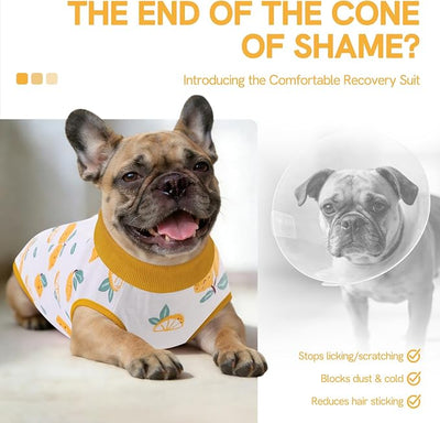 SAWMONG Recovery Suit for Dogs After Surgery Professional, Dog Spay Surgical Suit for Female Dogs, Dog Onesie Bodysuit for Surgery Male Substitute E-Collar Cone, Lemon Yellow, X-Large