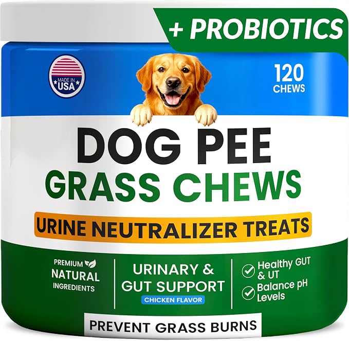 Green Grass Dogs Chews w/Probiotics - Prevent Urine Burning Grass - Pee Gras Spot Saver - Dog Urine Neutralizer for Lawn Treats, UT & Gut Health for Dogs, Lawn Burn from Dog Urine