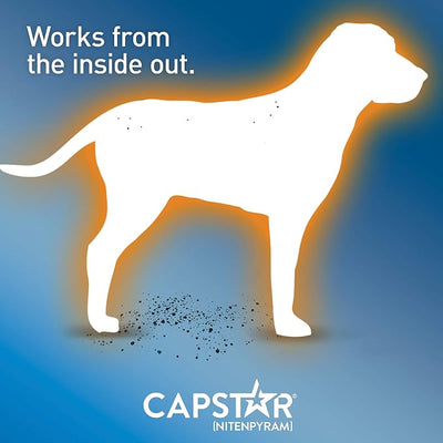 Capstar for Dogs (nitenpyram), Fast-Acting Oral Flea Treatment for Dogs Over 25+ lbs, Vet-Recommended Flea Medication Tablets Start Killing in 30 Minutes, 6 Doses