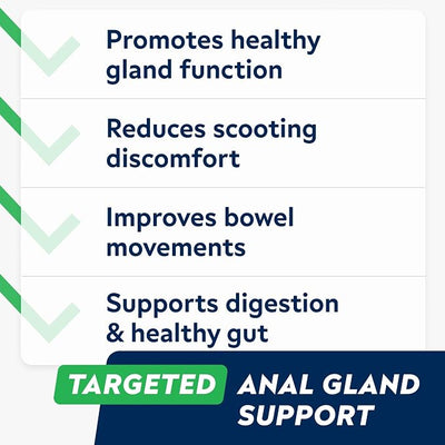 STRELLALAB Anal Gland Support Chews - Scoot Treatment - Digestive Enzymes, Prebiotics & Fiber Supplement for Dogs Digestion & Gut Health. Proprietary Blend of Beet, Psyllium, Dandelion & Pumpkin 120Ct