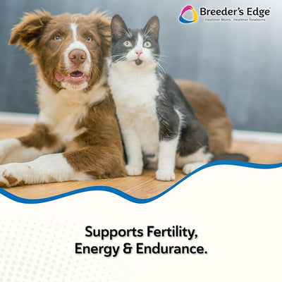 Breeder’s Edge Oxy Stud Male Supplement Multivitamin for Dogs & Cats, Helps Support Breeding, Fertility and Nutritional Needs Specific to Male Reproductive Health, Soft Chews - 60ct Small Dog & Cat