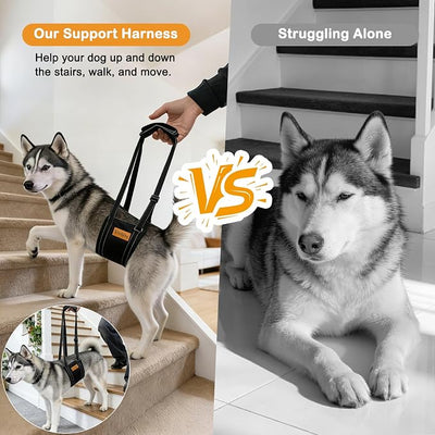Vivifying Dog Lift Harness for Large Dogs, Soft Flannel Rear Leg Support Sling, Adjustable Dog Lifting Harness for Weak Back Legs, Senior Injured Disabled Dogs, ACL Surgery Mobility Assist, L, Gray