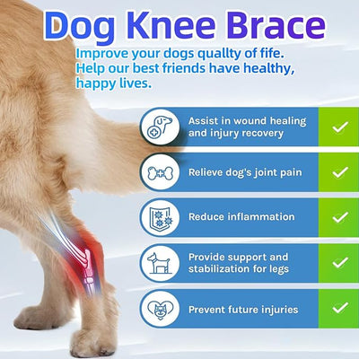 Dog Knee Brace for Torn ACL Hind Leg, Dual-Leg CCL Support with Vest Harness, 4 Metal Stabilizers, Hip Dysplasia & Luxating Patella Support, Vet-Recommended Rear Leg Brace for Dogs