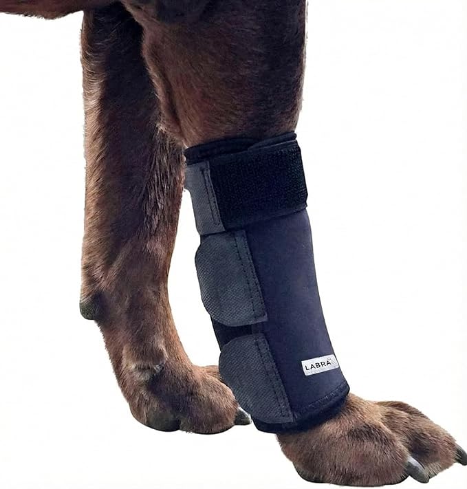 Labra Dog Front Leg Brace - Compression Wrap with Adjustable Straps - Dog Wrist Brace for Support - Leg Sleeve to Stop Licking - Aid in Wound Care and Recovery - Small/Medium