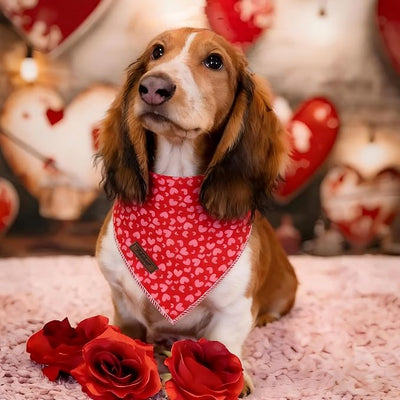 Valentine's Day Dog Bandanas Boy Girl Red Pink Love Cotton Washable Dog Scarf Adjustable Pet Bib Scarves for Small Medium Large Dogs L