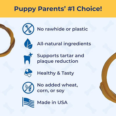 N-Bone Puppy Teething Ring Pumpkin Flavor, 3.6 Oz, 3 Rings
