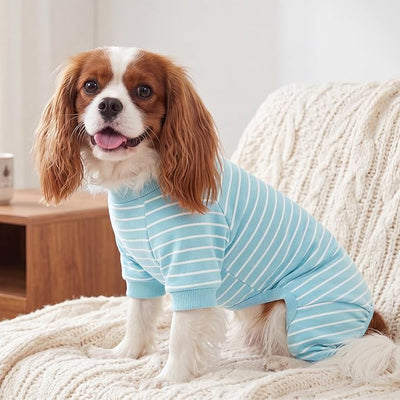 XPUDAC 4 Pack Dog Pajamas Striped Dog Clothes for Small Medium Dogs Girl Boy Comfy Puppy Outfit Doggy Jammies Onesie Pet Costume, Blue, Grey, Green, M