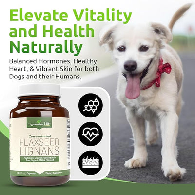 Lignans For Life Flaxseed Lignans for Dogs & People + SDG - Omega 3 Fatty Acids, High Fiber Antioxidants - Improve Shiny Coat, Digestive & Heart Health for Dogs, 15mg, 180 Flaxseed Capsules, 1 Pack