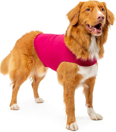 Dog Anxiety Calming Wrap, Medium, Sangria