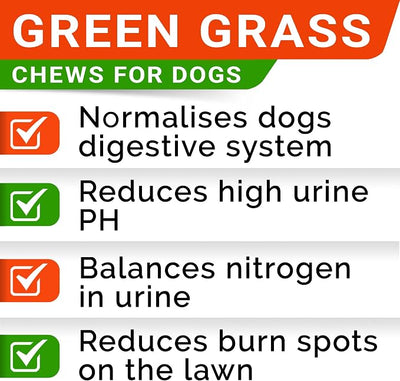 Grass Burn Spot Chews for Dogs - Dog Urine Neutralizer for Lawn - Dog Pee Lawn Spot Saver - Natural Treatment Caused by Dog Urine - Grass Treatment Rocks -DL-Methionine+Enzymes - 120 Chew