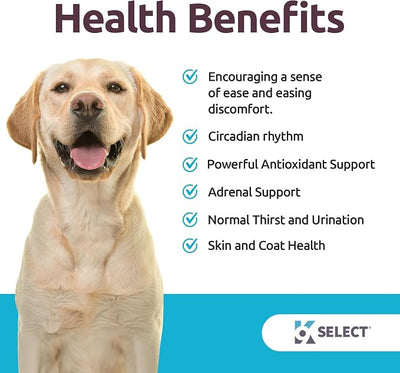 K9 Select Dog Melatonin for Large Dogs - Composure Dog Calming Chews - Canine Melatonin for Sleep - Reduce Stress for Large Canines - 6 mg, 90 Beef Flavored Chewable Tablets