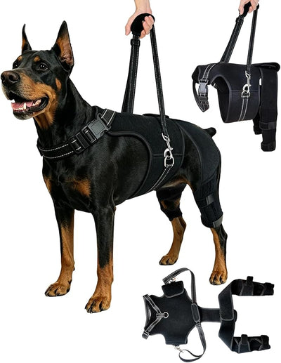 2-in-1 Dog Knee Brace and Lift Harness, Adjustable Back Leg Support with Stabilizers for ACL Recovery & Joint Care, Dog Sling for Hind Legs, Mobility Aid for Elderly Dogs with Luxating Patella (S)