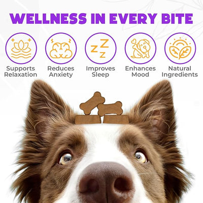 Hemp Calming Chews for Dogs 150 pcs - 2 Pack - Duck Flavored - Anxiety Relief with Melatonin - for Stress, Travel, Check-ups, Barking, or Grooming - Calming Treats