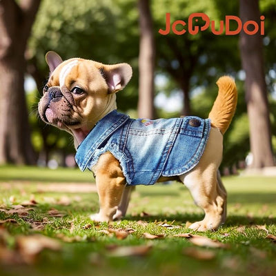 Birthday Gift Boy Dog Jeans Jacket Denim Pet Coat for Puppy Small Dogs Classic Overalls Male Cat Costumes Washed Vest Clothes Outfit T-Shirts (Small)