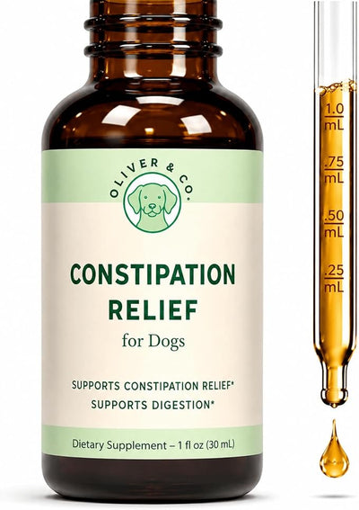 Dog Constipation Relief - Constipation Relief for Dogs - Helps to Gently Relieve Constipation, Soften Bowel Movements, & Much More - Dog Laxative - Pet Stool Softener - 1 fl oz - Bacon Flavor