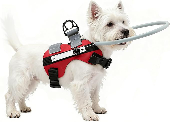 Ring Harness for Blind Dog, Lightweight Blind Ring for Pets, Blind Dog Bumper, Bump Guard for Blind Dogs Upgrade Red Small