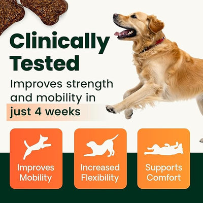 VetriScience Glycoflex 3 Clinically Proven Hip and Joint Supplement for Dogs - Maximum Strength Dog Supplement with Glucosamine, MSM, Green Lipped Mussel & DMG - 120 Count - 2 Pack