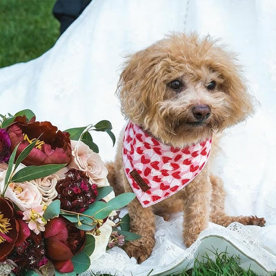 Valentines Dog Bandana - Soft Couple Heart Dog Neck Scarf, Cute Pet Bib for Puppy Kitten, Valentine Photo Dogs Cats Prop for Daily Use Parties & Pet Photography S