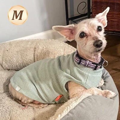 KYEESE 2Pack Dog Shirts Waffle for Small Dogs Stretchy T-Shirts Lightweight Tank Top Sleeveless Dog Vest Breathable Cat Shirt, Medium, Pink+Grey