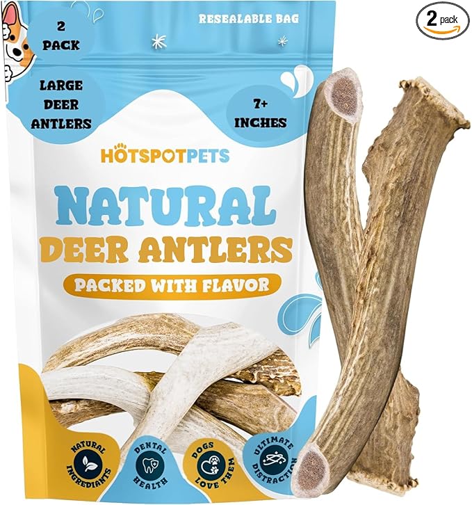 Premium USA Sourced Deer Antlers for Dogs - 7+ Inch Large Antler Dog Chews (2 Pack) Naturally Shed Antler Bone for Large Breed Aggressive Chewers - Promotes Dental Hygiene