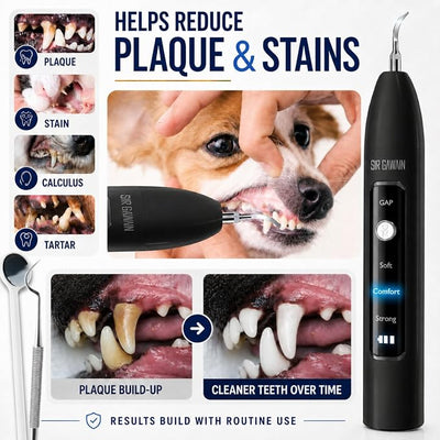 SIRGAWAIN Pet Ultrasonic Dental Cleaner — Plaque, Tartar & Stains Remover, 4 Tips, 3 Modes, LED, Contact-Activated & Smart Touch Protection, Complete Cleaning Kit for Dogs & Cats (Black)