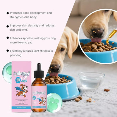 Bloom Collagen for Dogs, Bloom Triple Collagen for Dogs, Gentle Formula, Supports Skin and Coat, Joint Comfort, 60ml (2pcs)