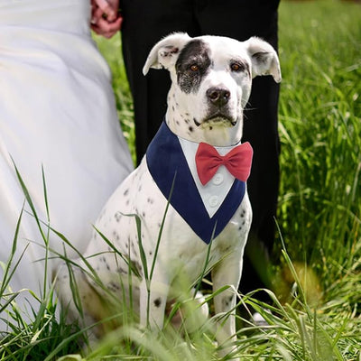 FUAMEY Dog Tuxedo for Medium Dogs,Dog Formal Suit Dogs Attire Pet Bow Tie Puppy Party Costumes Cat Tux Outfits Pets Bandana Cosplay Adjustable Bowties Wedding Birthday Valentines Blue M