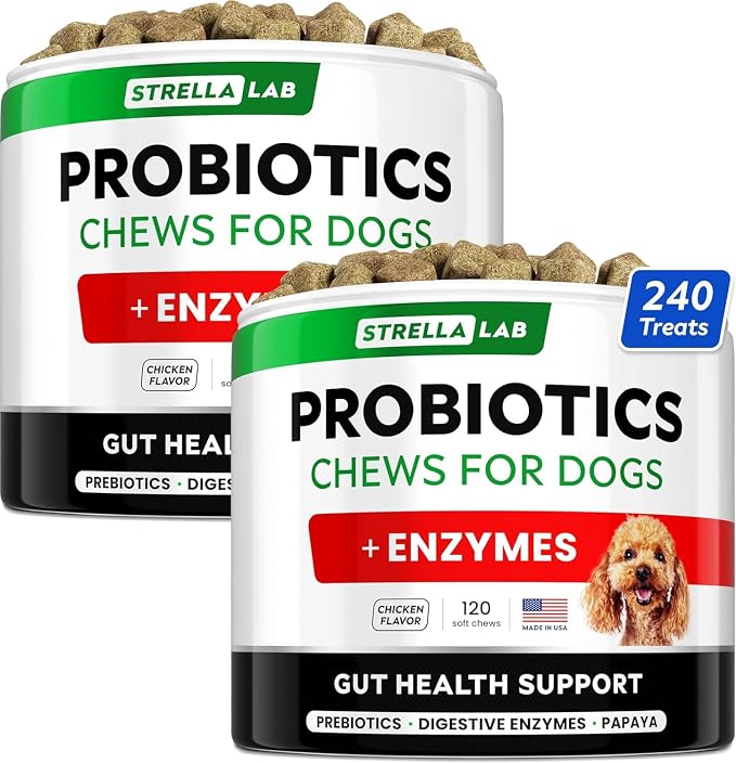 Dog Probiotics Chews for Digestive Health & Gut Support with Yeast and Enzymes - Anti Gas, Diarrhea and Upset Stomach Immune Supplement - Digestion Treats with Fiber (240Ct, Chicken)