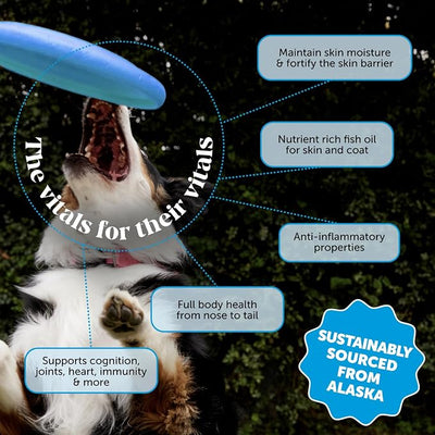 Wild Alaskan Salmon Oil for Dogs & Cats - Omega-3 Fish Oil with EPA + DHA Omega Fatty Acids, Sockeye Salmon, Skin & Coat Support, Pure Food Topper, Supports Joints, Brain & Heart Health - 16 oz