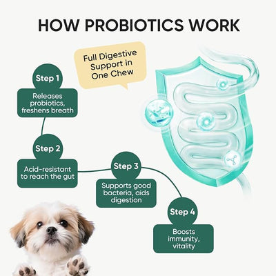 Probiotics for Dogs Gut Digestive Health Probiotic Chews for Dogs Digestive Enzymes Relieve Diarrhea Immunity Oral Problems Itching Constipation Prebiotics Dog Probiotics 200 Ct Duck