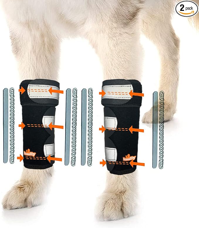 NeoAlly - 3-in-1 Dog Splint Front Leg Support, Front Leg Brace with Rigid and Spring Inserts, Dog Leg Sleeve for Pet Mobility, Stability, & Protection, With Reflective Straps, L-XL, 1 Pair