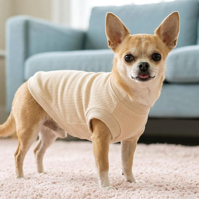 2 Pack Dog Shirt for Small Supplies Functional Waffle Dog Clothes Warm Soft Sweatshirt Outfit for Dogs Cats Pet Apparel