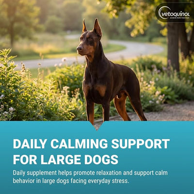 Vetoquinol Zylkene - Calming Support for Large Dogs 33–132 lb - Supports Behavior & Occasional Anxiety - Perfect for Boarding, Vet Visits & Celebrations - Non-Drowsy & Lactose-Free - 120 Capsules