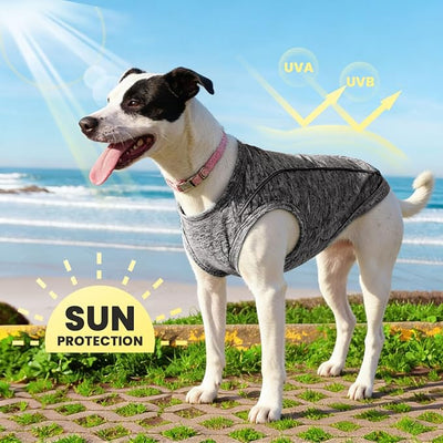 PETCARE Sun Protection Dog Shirts for Small Dogs Quick Dry Soft Stretchy Dog T-Shirts with Reflective Label Tank Top Sleeveless Vest Pet Clothes, Athletic Fabric, Black, S (Chest 15" Length 11.8")