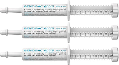 PetAg Bene-Bac Plus Pet Gel - 15 g Syringe, Pack of 3 - FOS & Probiotics for Dogs, Cats, Exotic & Wildlife Mammals