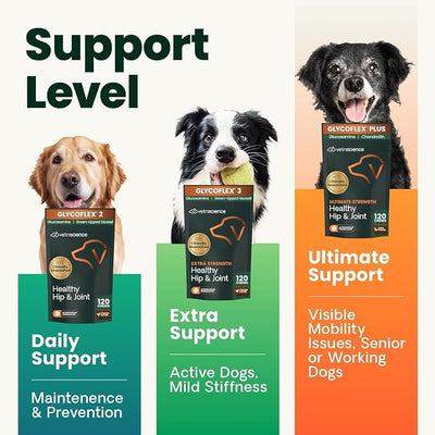 VetriScience Glycoflex 3 Clinically Proven Hip and Joint Supplement for Dogs - Maximum Strength Dog Supplement with Glucosamine, MSM, Green Lipped Mussel & DMG - 120 Count - 2 Pack