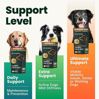 VetriScience Ultimate Strength Healthy Hip & Joint Chews, GlycoFlex Glucosamine, Chondroitin and Green-Lipped Mussel Joint Support Supplement for Dogs, Soothe Discomfort, Peanut Butter, 60 Chews
