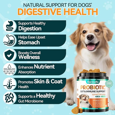 Probiotic & Flea Chews for Dogs - 200 Each - Natural Flea & Tick Prevention with Skin Support + Digestive, Gas & Immune Relief with Pumpkin & Enzymes - Chicken Flavor