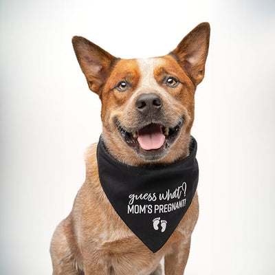 Guess What? Mom's Pregnant Dog Bandana | 100% Cotton Adjustable Triangle | Made in USA | New Baby | Pregnancy Announcement Photoshoot Prop | Gender Reveal | Royal One Size (216)